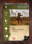 92-_archer_deck_revised_fr_v2-30.jpg